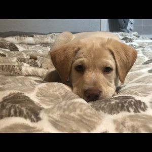 Meet your Posher, Whitney